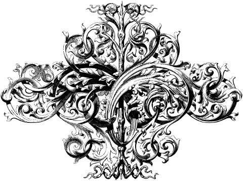 antique-ornament-floral-line-art-6852972