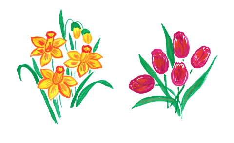 spring-spring-flower-easter-6010432