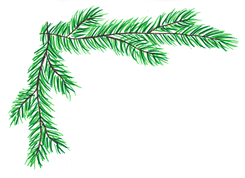 pine-needles-frame-copy-space-6826457