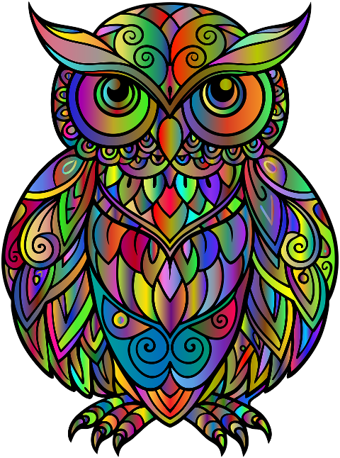 owl-animal-bird-mandala-flourish-8764373