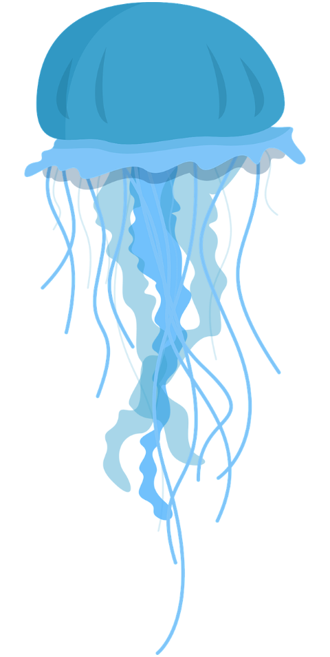 jellyfish-marine-animal-nature-7747031