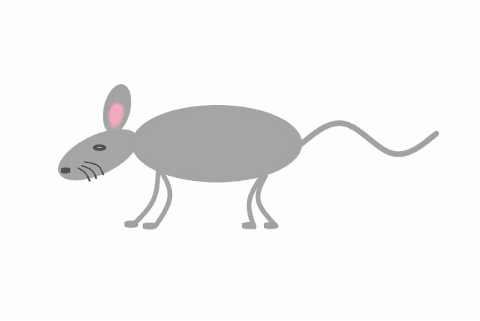 animal-mouse-rodent-creature-7042216