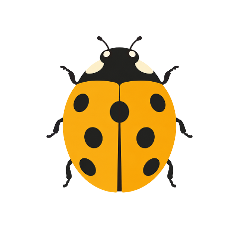 ladybug-insect-yellow-black-spots-10366174