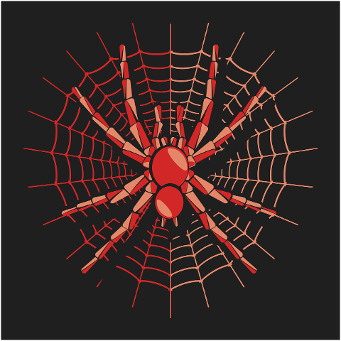 spider-t-shirt-shirt-animal-7720860