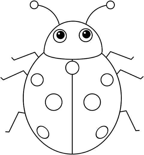 insect-ladybug-entomology-coloring-7052814