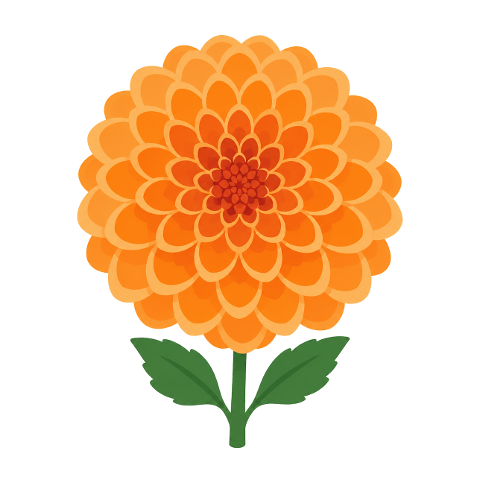 dahlia-flower-orange-flower-bloom-10366191
