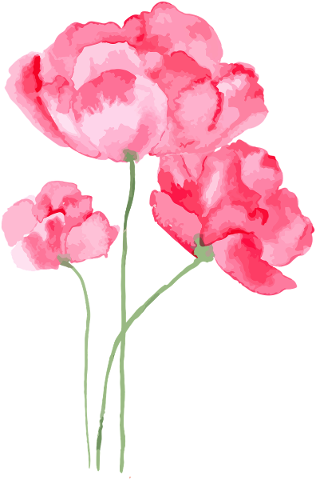 watercolor-flowers-vector-red-pink-5331604