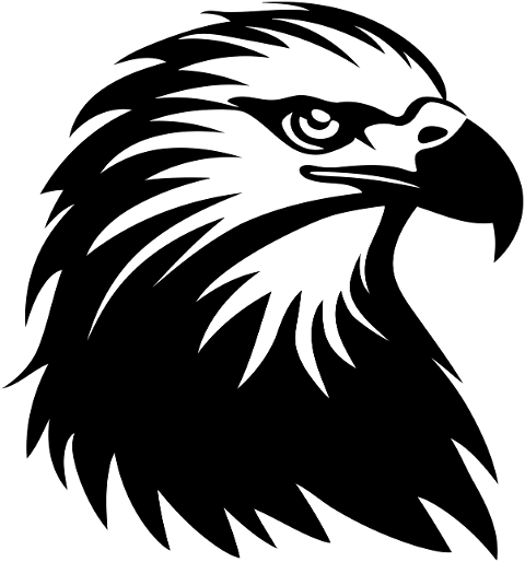 ai-generated-eagle-bird-wildlife-8495193