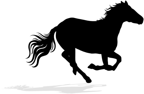 horse-running-silhouette-horses-4898239