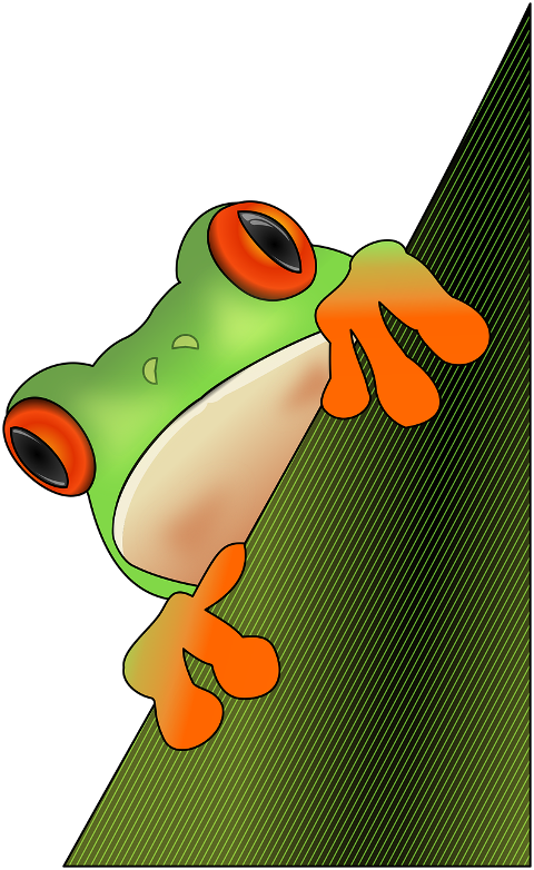 frog-tree-frog-green-tree-frog-8605392