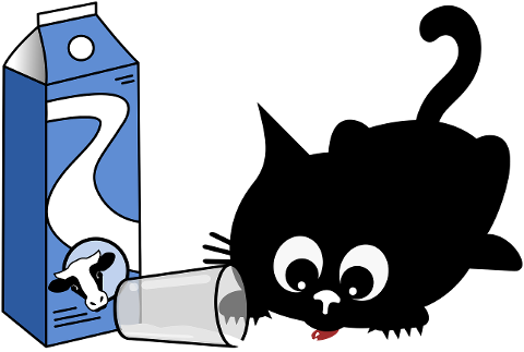 cat-kitten-black-cats-pet-animal-9775963