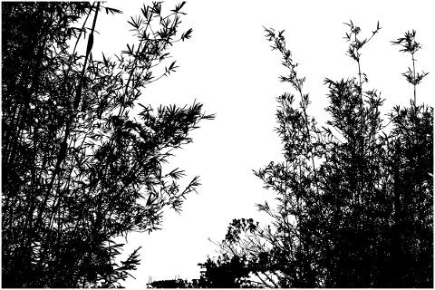 trees-landscape-silhouette-plant-5126645