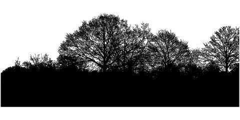 trees-forest-silhouette-landscape-7120198