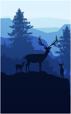deer-animal-nature-wildlife-4826588