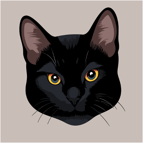 cat-pet-black-cat-feline-face-8157889