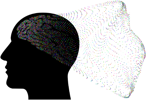 brain-organ-anatomy-biology-mind-8057226