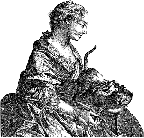 woman-cat-pet-animal-feline-human-6367536