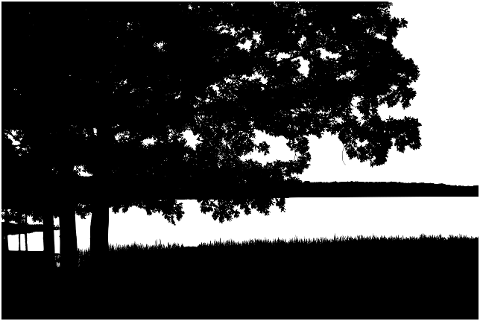 lake-trees-silhouette-landscape-8151951