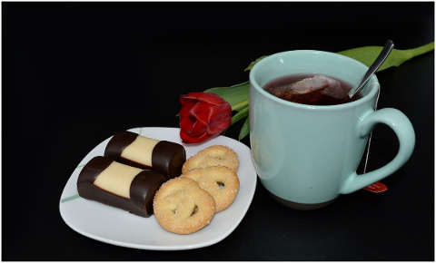 cup-of-tea-cookies-tulip-break-5094959