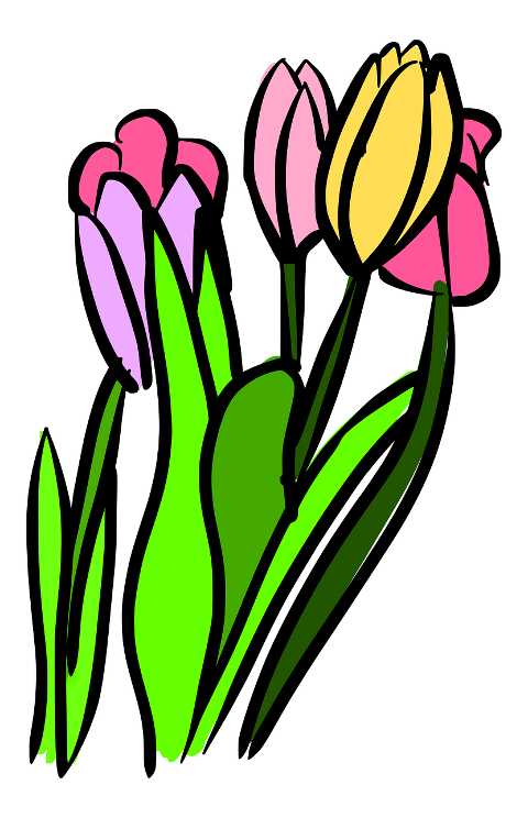 flowers-spring-bouquet-decoration-7455092