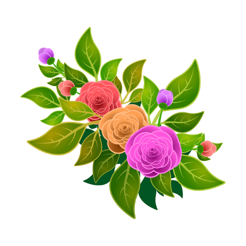 roses-illustration-flowers-floral-4585690