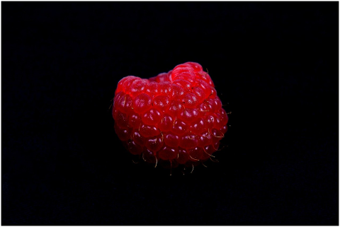 raspberry-berry-red-fruit-berries-4853225