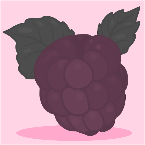 raspberry-fruit-food-healthy-7076494