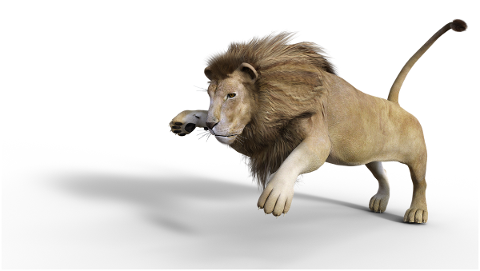 lion-males-3d-model-figure-5092047