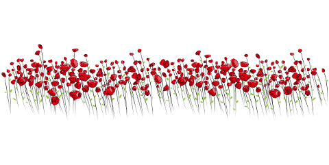 flowers-red-nature-vector-2755297