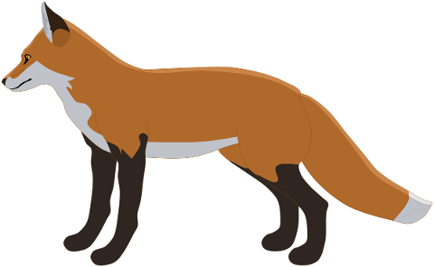 fox-red-fox-wild-predator-mammal-5498738