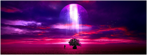 space-tree-field-surreal-landscape-6249780