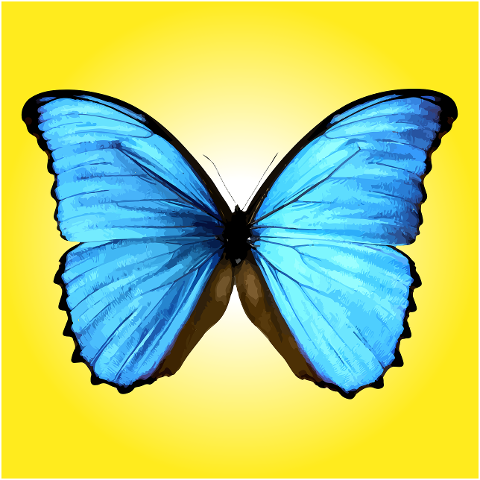 butterfly-blue-butterfly-insect-7135982