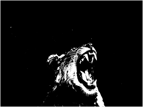 lion-king-face-animal-portrait-7740284