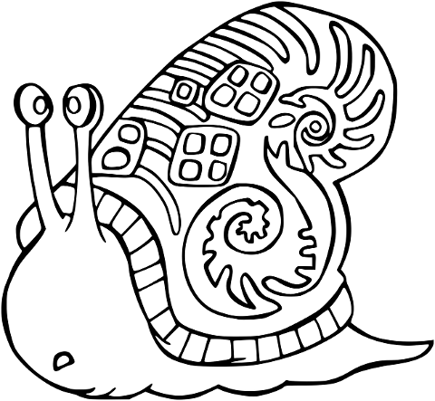 snail-shell-animal-mollusc-slow-6180912