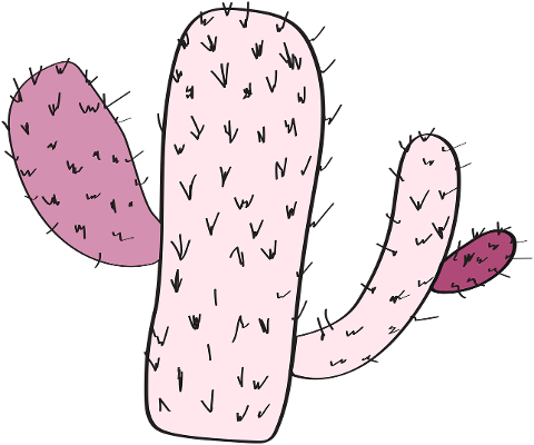 cactus-desert-wild-west-arizona-9463838
