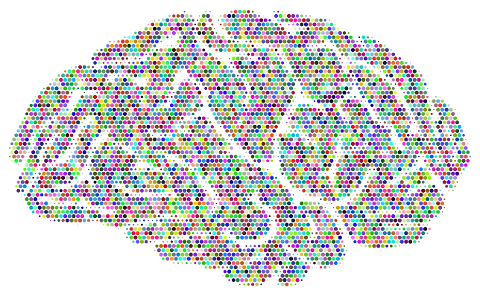 brain-organ-anatomy-biology-8057225