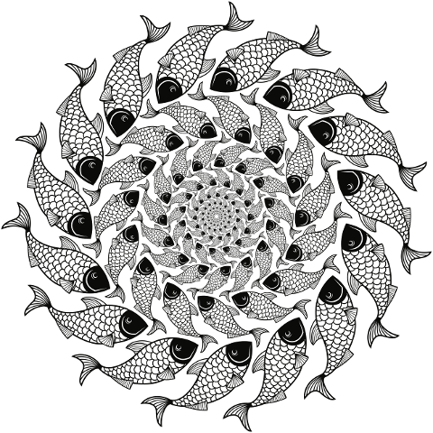 fish-vortex-line-art-animal-scales-5968757