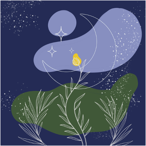 plants-moon-background-stars-night-6300778