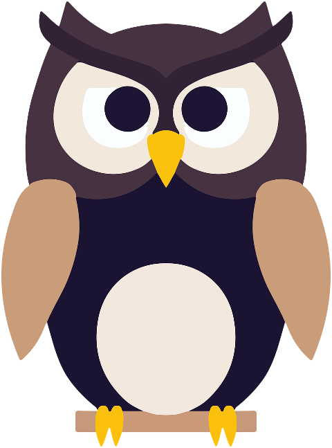 owl-bird-cartoon-owl-cartoon-bird-7515291