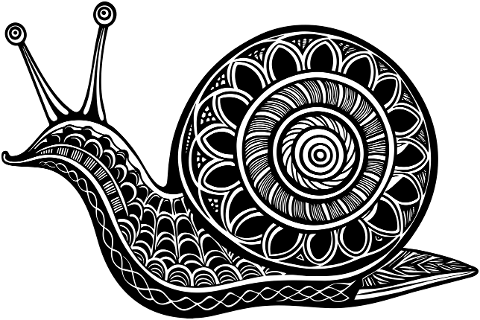 snail-mollusk-animal-line-art-8940507