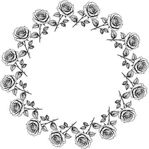 rose-flower-frame-border-plant-8678084