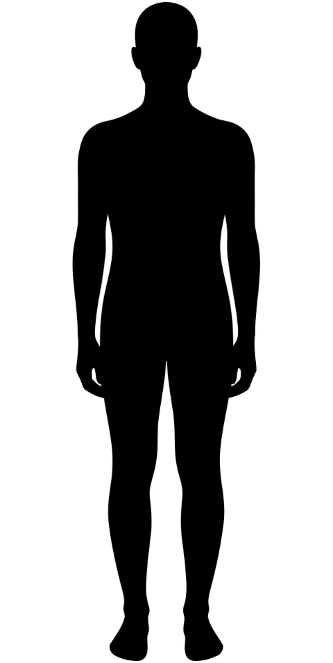 human-figure-silhouette-man-body-10052573