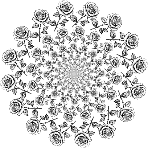 rose-mandala-vortex-flower-8678095