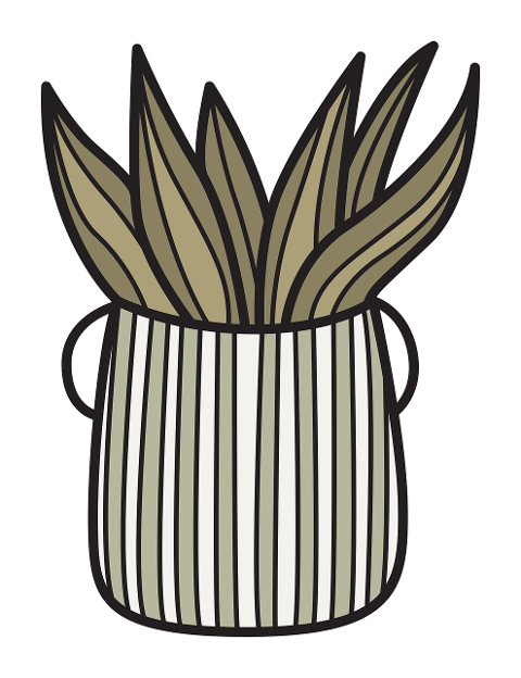 snake-plant-pot-plant-simple-9440702