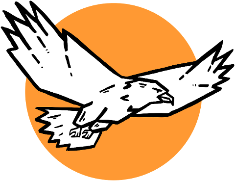 eagle-bird-nature-raptor-beak-10503912