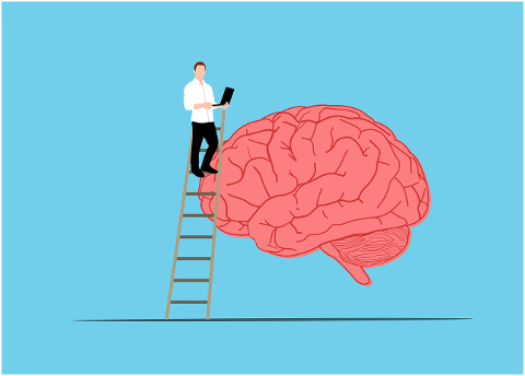 brain-code-programmer-smart-coding-8965563