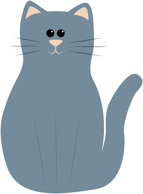 cat-little-cat-tender-adorable-8836904