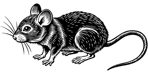 ai-generated-mouse-rodent-animal-8863823