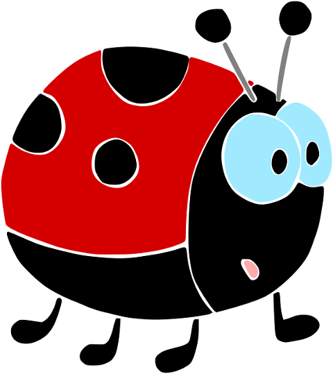 ladybug-beetle-insect-animal-6184288