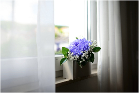 flower-vase-window-curtains-room-6060005